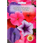 Кликните для увеличения изображения