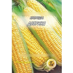 Кликните для увеличения изображения