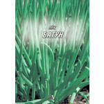 Кликните для увеличения изображения