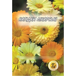 Кликните для увеличения изображения