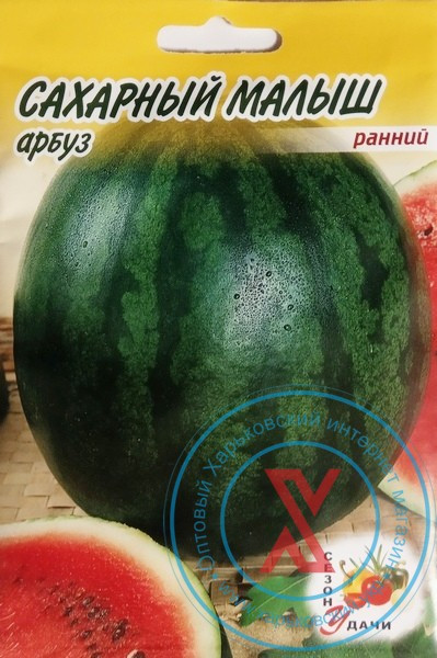 Магазин Сезон Удачи Москва