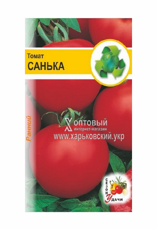 Томат Санька Характеристика И Описание Сорта Фото