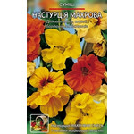 Кликните для увеличения изображения