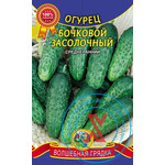 Кликните для увеличения изображения